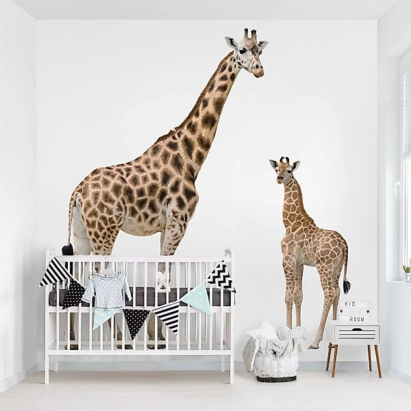 Bilderwelten Fototapete Giraffe Mutter und Kind bunt Gr. 192 x 192 günstig online kaufen