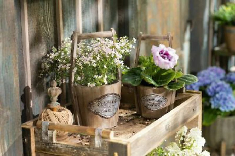HOME Living Pflanzer Flowers Blumentöpfe braun günstig online kaufen