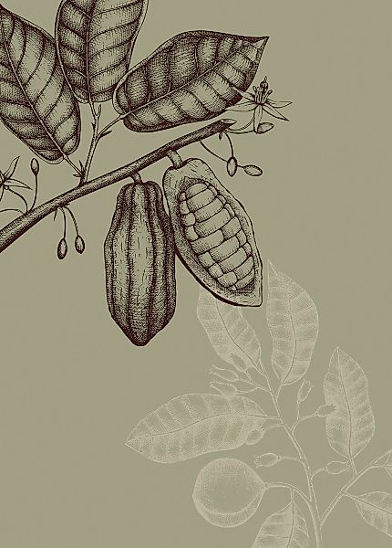 Komar Bild "Wild Cocoa" Natur 1 Stk. tlg. Wandbild zur Dekoration - ohne Ra günstig online kaufen