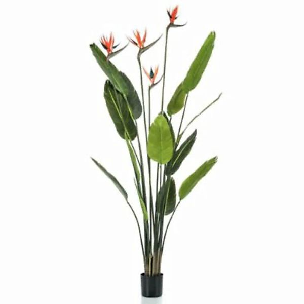 Emerald Künstliche Strelitzie mit 4 Blüten im Topf 150 cm Dekorationspflanz günstig online kaufen