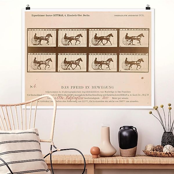 Poster Kunstdruck - Querformat Eadweard Muybridge - Das Pferd in Bewegung günstig online kaufen
