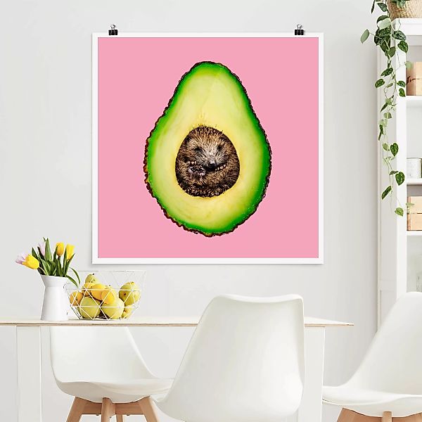 Poster - Quadrat Avocado mit Igel günstig online kaufen