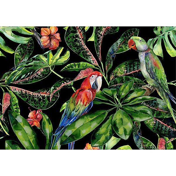 Leinwandbild Tropical Birds, 100 x 70 cm günstig online kaufen
