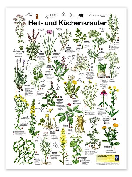 Posterlounge Poster Planet Poster Editions, Heil- günstig online kaufen