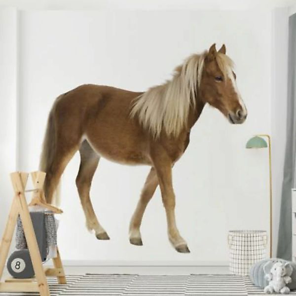 Bilderwelten Vliestapete Pony braun Gr. 240 x 240 günstig online kaufen