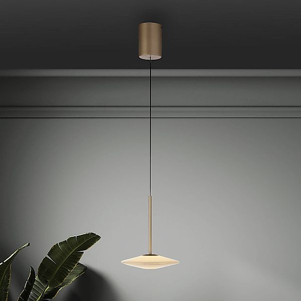 Paul Neuhaus LED-Hängelampe Elipsa, 1-flg., weiß/bronze günstig online kaufen
