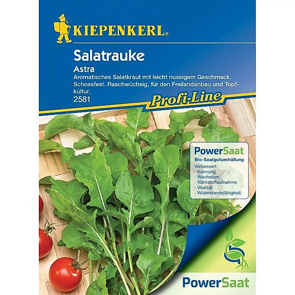Kiepenkerl Salatrauke Astra (Eruca sativa) günstig online kaufen