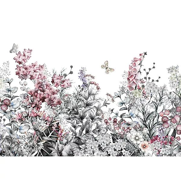 Fototapete Floral Blumen Schmetterling Weiß Rosa 3,50 m x 2,55 m FSC® günstig online kaufen