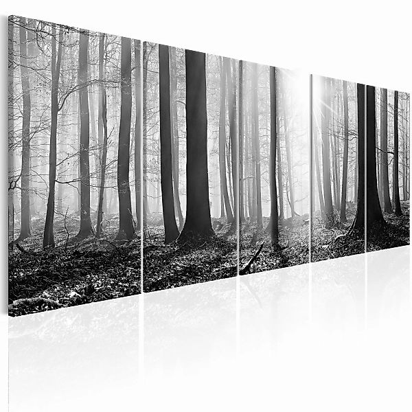 Wandbild - Monochrome Forest günstig online kaufen