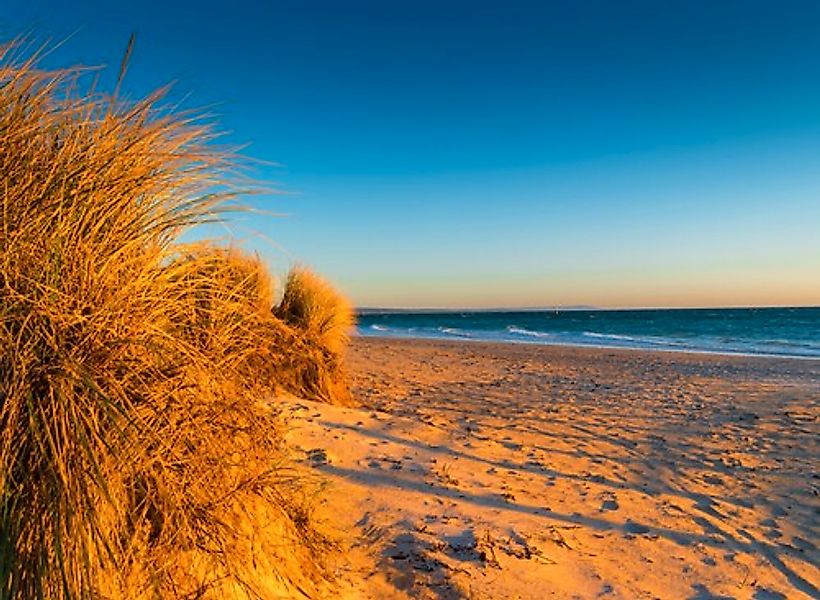 Papermoon Fototapete »Dunes Chelsea Beach Australia« günstig online kaufen