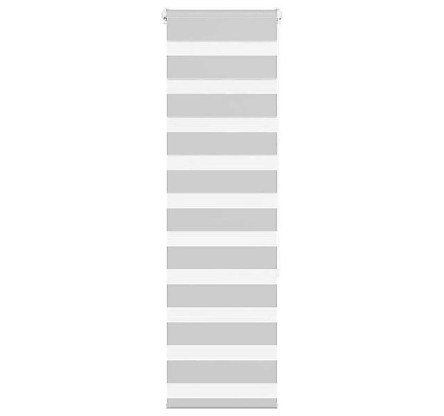 Rollo Doppelrollo Hellgrau 40x150 cm Stoffbreite 35,9 cm Polyester, vidaXL günstig online kaufen