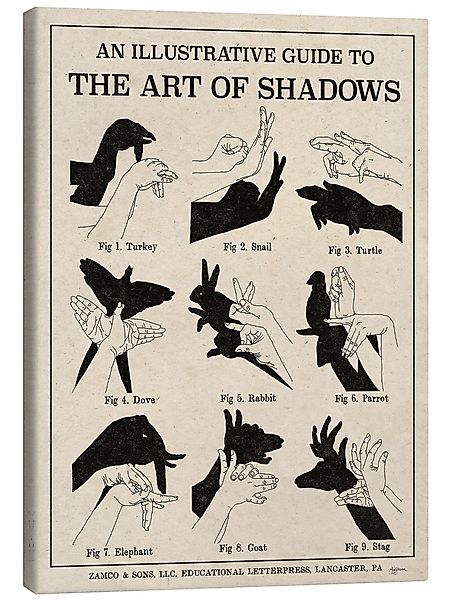 Posterlounge Wandbild Die Kunst der Schattenspiele günstig online kaufen