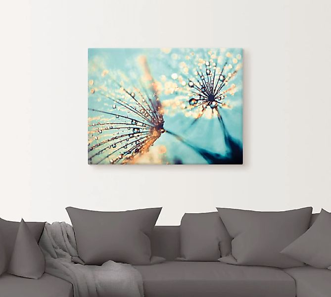 Artland Wandbild "Pusteblume aqua", Blumen, (1 St.), als Leinwandbild, Post günstig online kaufen