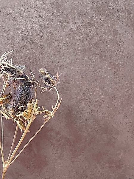 Newroom Vliestapete, Rot Tapete Uni Einfarbig - Unitapete Betontapete Braun günstig online kaufen