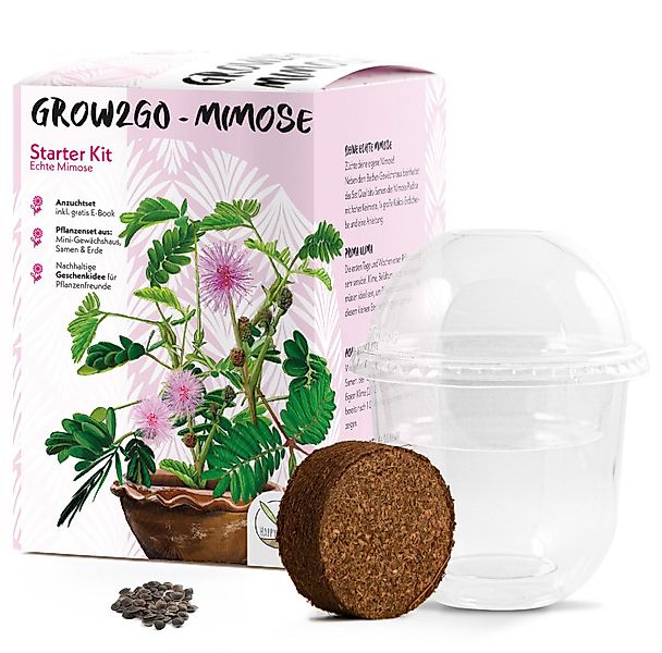 HappySeed Blumensamen Mimose Anzuchtset - Pflanzset aus Mini-Gewächshaus, S günstig online kaufen