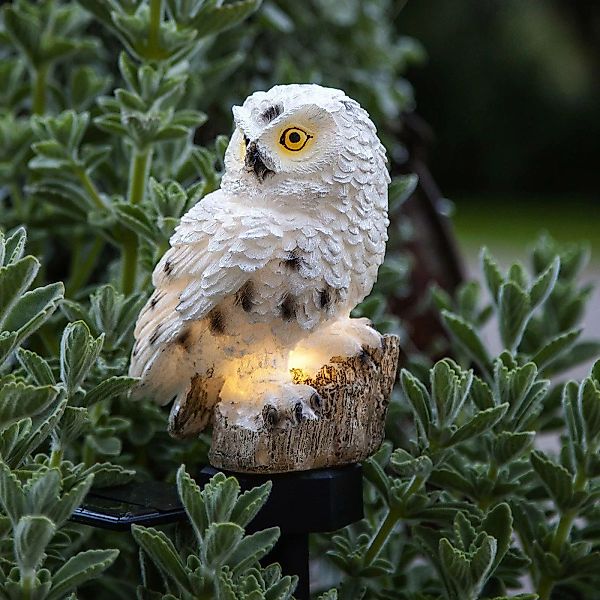 LED-Solarleuchte Owl mit Erdspieß günstig online kaufen