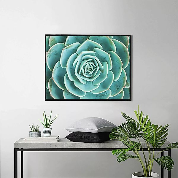 home24 Bild Arrangement of the Succulents günstig online kaufen