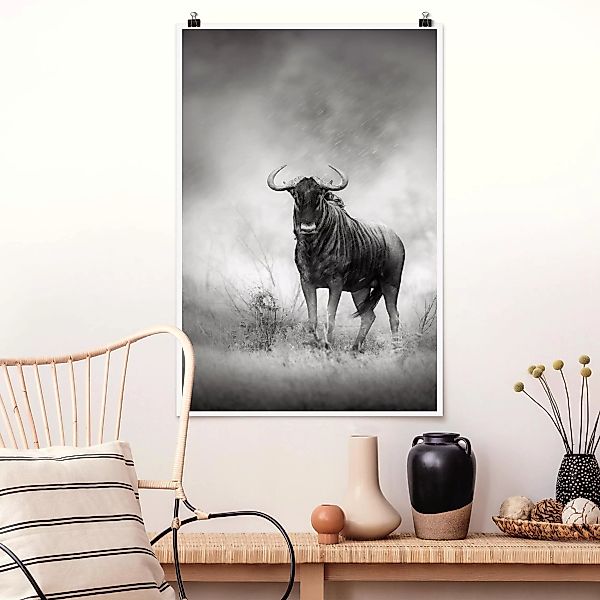 Poster Tiere - Hochformat Staring Wildebeest günstig online kaufen
