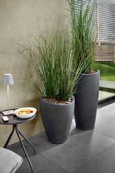 Scheurich Pflanzgefäß Wave Globe High Ø 30 cm x 40 cm Schwarz-Granit günstig online kaufen