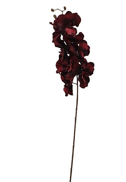 Kunstblume Orchidee (Orchidaceae), 2474U, Stielblume günstig online kaufen