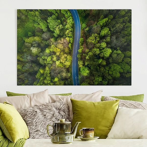 Leinwandbild Natur & Landschaft - Querformat Luftbild - Asphaltstraße im Wa günstig online kaufen