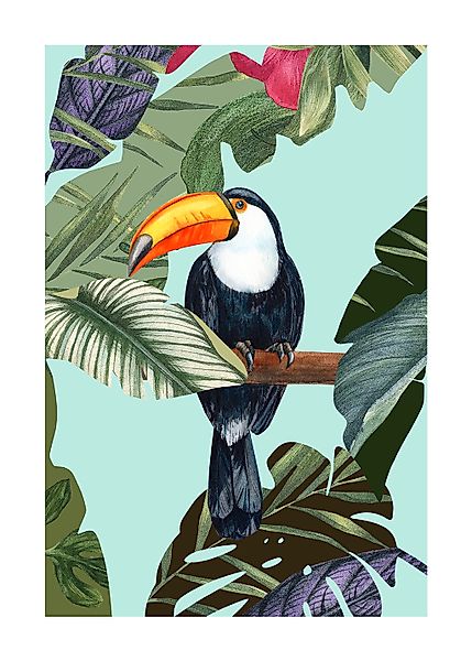 Komar Bild "Toco Toucan", Natur, (1 St.), Wandbild zur Dekoration - ohne Ra günstig online kaufen