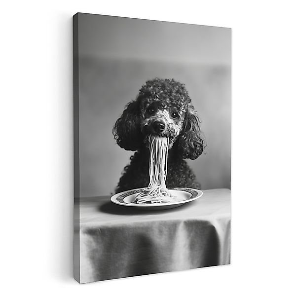 OneMillionCanvasses® Leinwandbild Pudel - Hund - günstig online kaufen