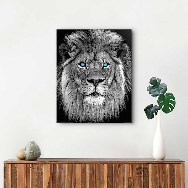 Reinders! Wandbild Löwe mit blaue Augen günstig online kaufen
