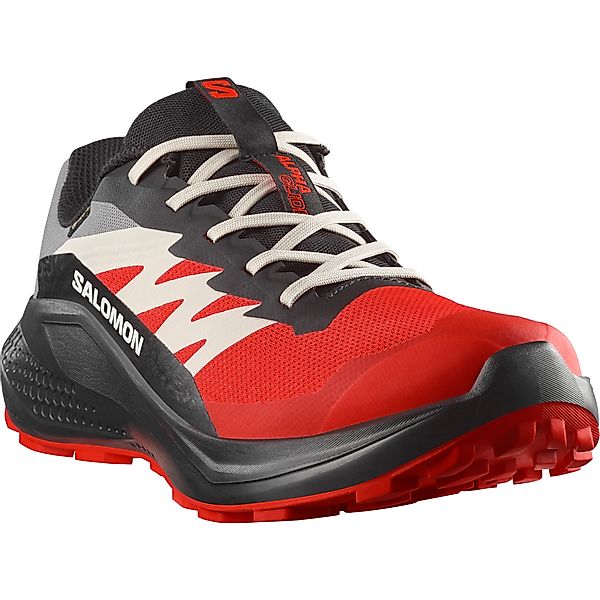 Salomon Laufschuh "ALPHAGLIDE GORE-TEX" wasserdicht günstig online kaufen