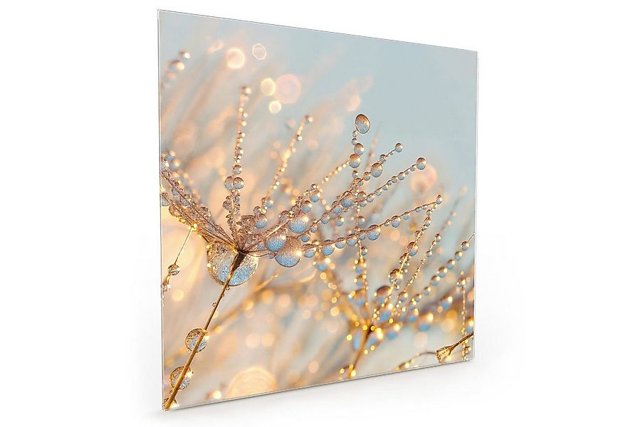 Primedeco Küchenrückwand Spritzschutz, Herdblende aus Glas - Motiv Tautropf günstig online kaufen