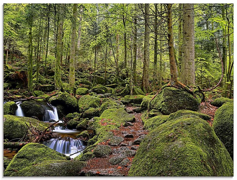 Artland Glasbild "Zauberwald mit Bach" Wald 1 Stk. tlg. in verschiedenen Gr günstig online kaufen