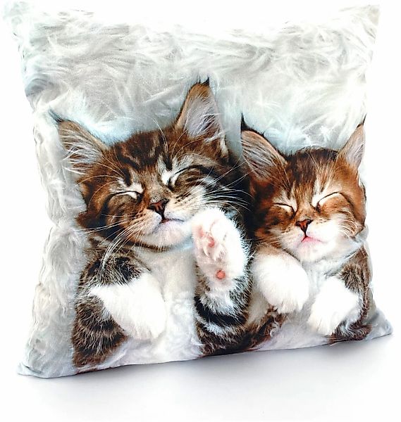 Weckbrodt Dekokissen "Katzen" Kissenhülle ohne Füllung, 1 Stück günstig online kaufen