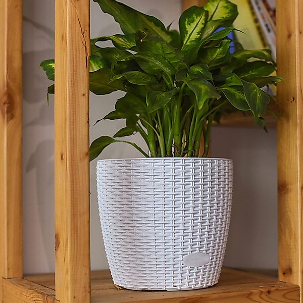 HTI-Living Blumentopf Blumentopf Hydro Ø 27 günstig online kaufen