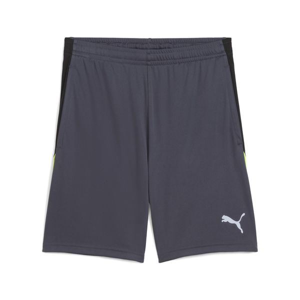 PUMA Sporthose "individualLIGA Trainingsshorts Herren" günstig online kaufen