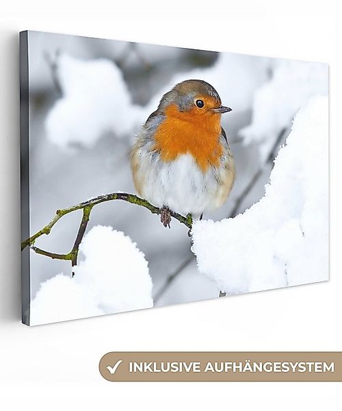 OneMillionCanvasses® Leinwandbild Rotkehlchen - Schnee - Winter, Fotodruck günstig online kaufen