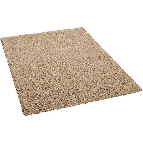 Hochflorteppich Pisa beige B/L: ca. 120x170 cm günstig online kaufen