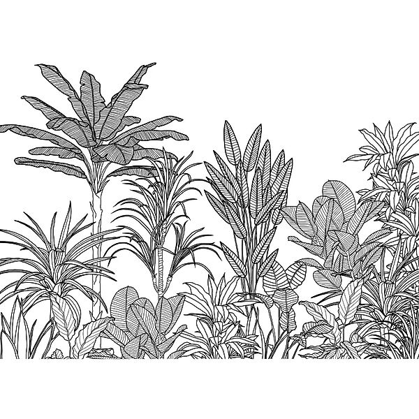 Komar Fototapete Palmen Schwarz-Weiß 350 x 250 cm 611218 günstig online kaufen