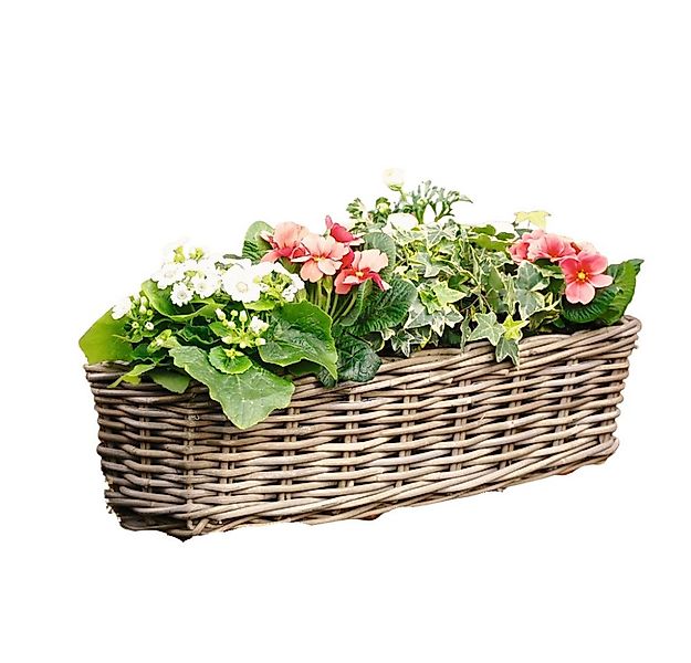 Home-trends24.de Balkonkasten Rattan Blumenkasten Blumenkästen Blumentopf m günstig online kaufen
