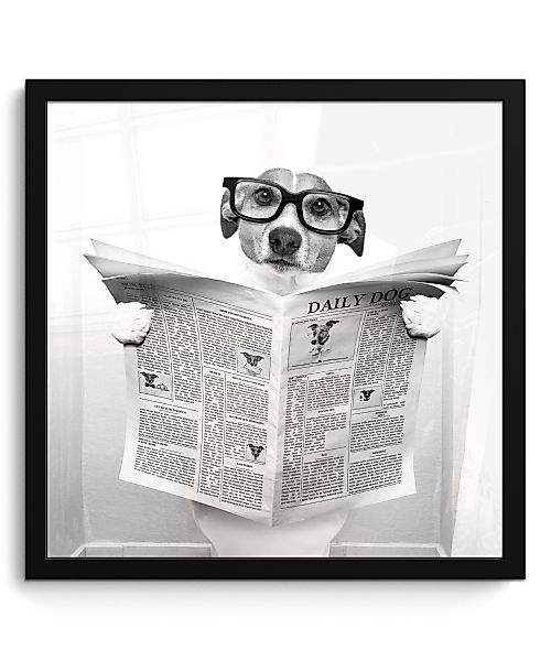 MuchoWow Poster Hund - Zeitung - günstig online kaufen
