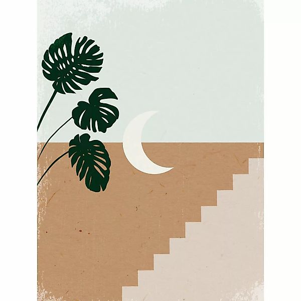 Komar Wandbild Silence Crescent Moon Pflanzen B/L: ca. 30x40 cm günstig online kaufen