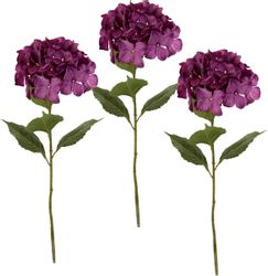 Kunstblume Hortensie, I.GE.A., Höhe 73 cm, günstig online kaufen