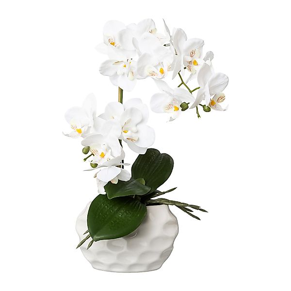 Kunstorchidee Kunstpflanze Orchidee, weiss, ca. 33 günstig online kaufen