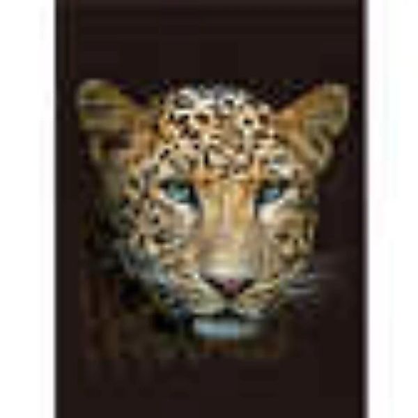 Wohndecke Leopard günstig online kaufen