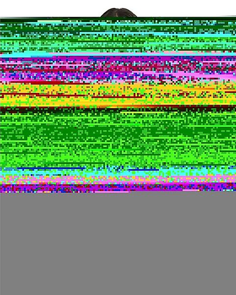 Billabong T-Shirt Since 73 Barrels günstig online kaufen