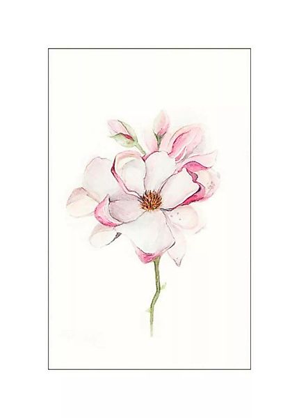 Komar Poster "Magnolia Blossom", Blumen, (1 St.), Kinderzimmer, Schlafzimme günstig online kaufen
