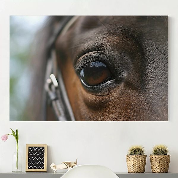 Leinwandbild Tiere - Querformat Horse Eye günstig online kaufen