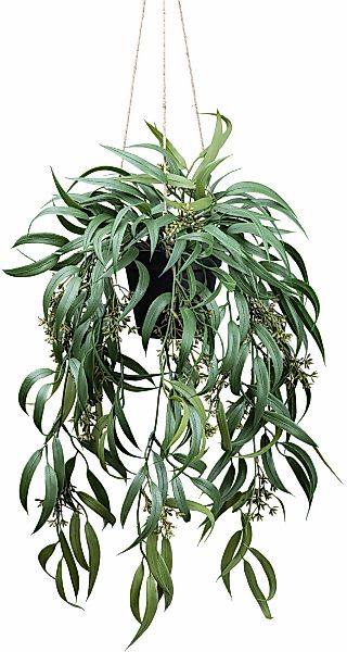 Kunstpflanze Eukalyptus Globolus Orchidee, Creativ green, günstig online kaufen