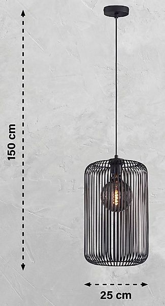 SCHÖNER WOHNEN-Kollektion Deckenleuchte Cage, ohne Leuchtmittel, 1x E27 max günstig online kaufen