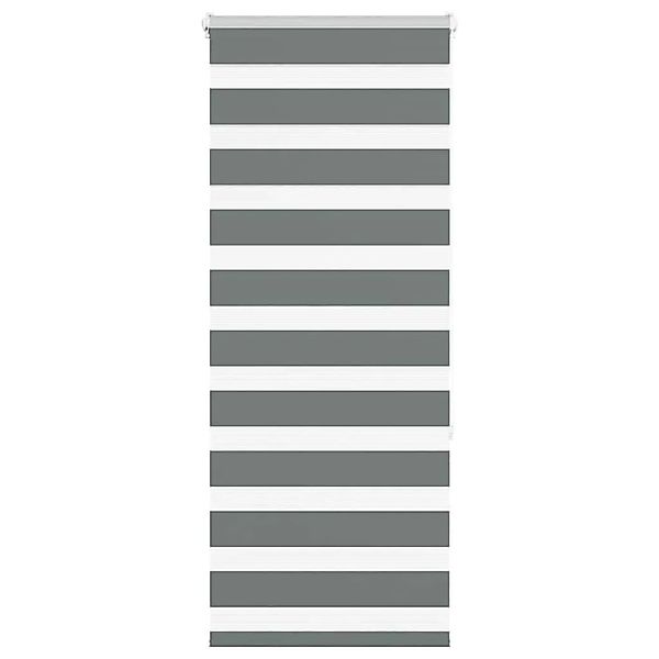 vidaXL Doppelrollo Dunkelgrau 65x150 cm Stoffbreite 60,9 cm Polyester 40141 günstig online kaufen