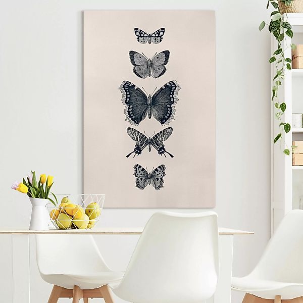 Leinwandbild Tusche Schmetterlinge auf Beige günstig online kaufen